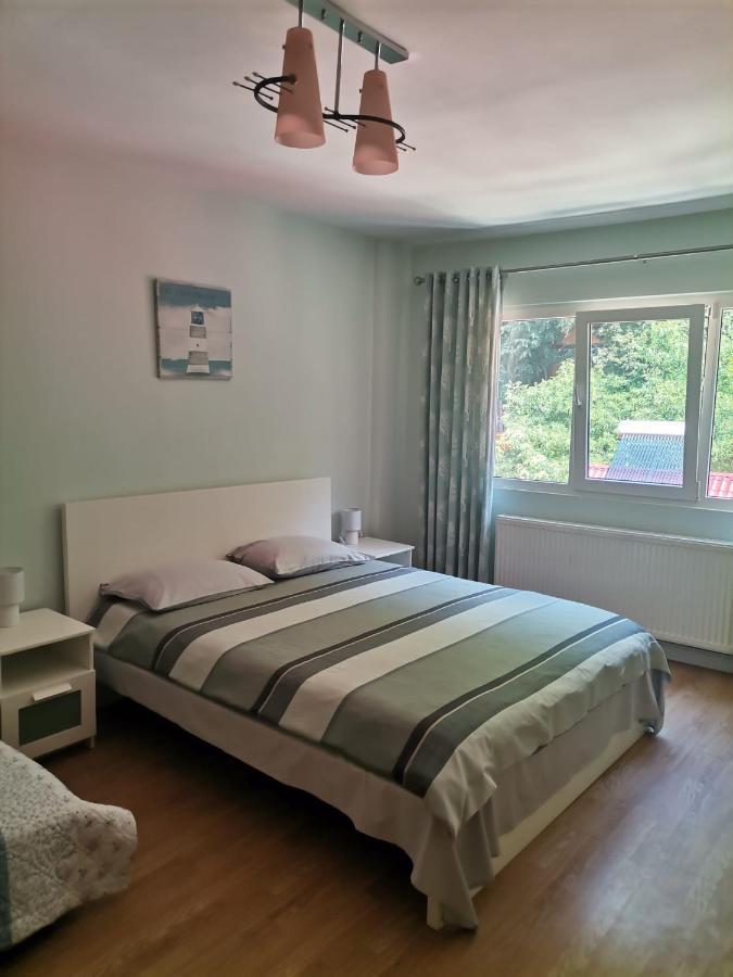Montana Slanic Apartment Bagian luar foto