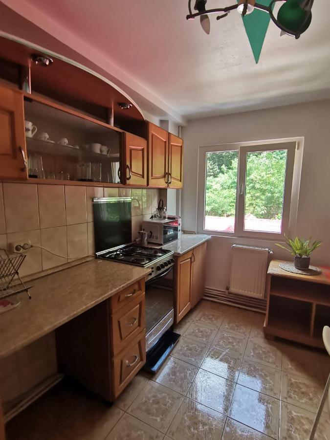 Montana Slanic Apartment Bagian luar foto